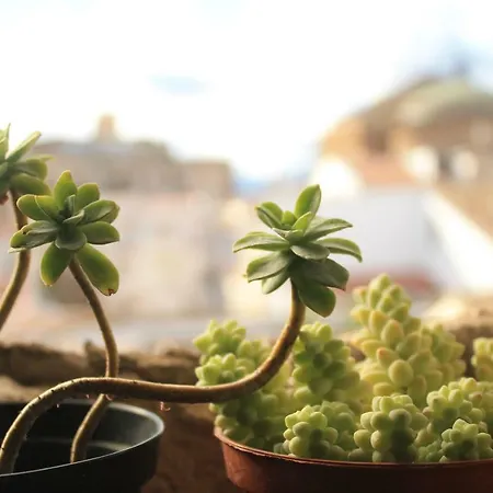 Casa Gioia 招待所