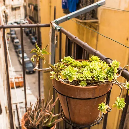 Casa Gioia بيت ضيافة